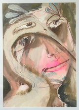 The Birds of Bundjalung Bliss